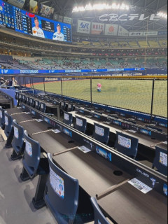 竜のホームランウイングで目撃!頭上を通過するサノーの来日初本塁打に歓喜